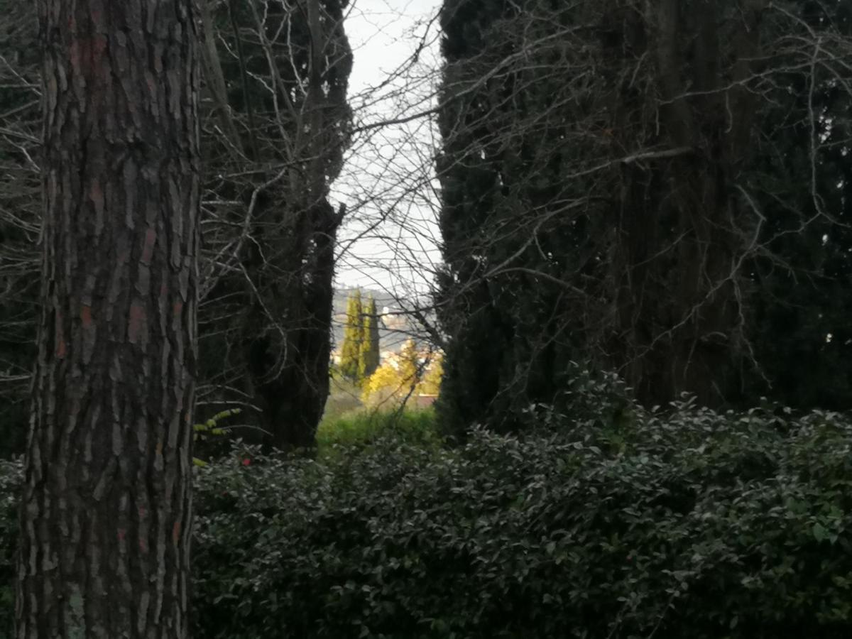 佛罗伦萨La Casa Di Duccio Con Parcheggio Gratuito公寓 外观 照片