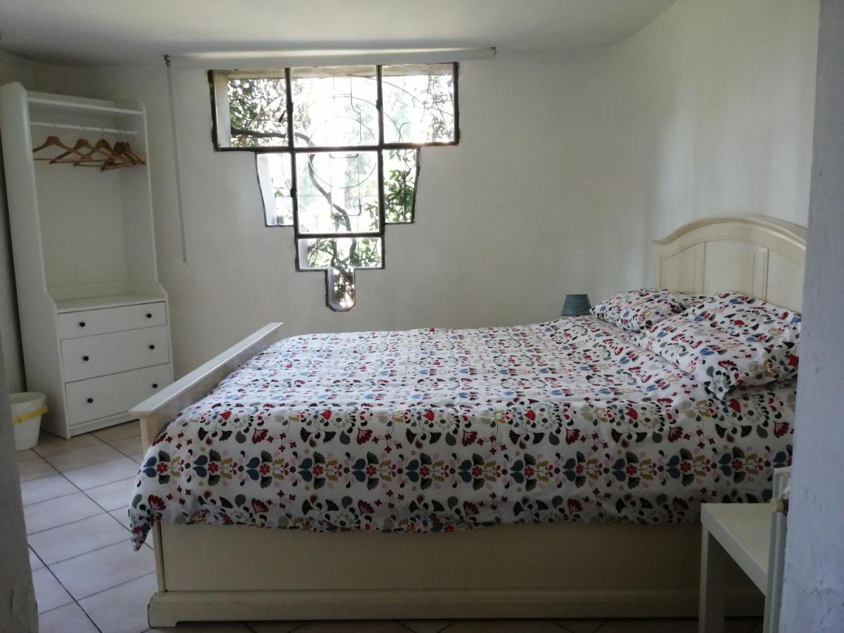 佛罗伦萨La Casa Di Duccio Con Parcheggio Gratuito公寓 外观 照片